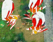Screenshot 2026-06-11 001310.webp