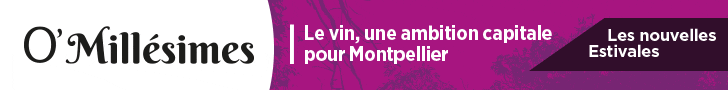 Mégabanner Ville Montpellier 100822